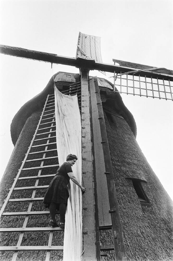 Vrouw in molen te Schermerhorn (Noord-Holland). Vrouw tijdens het voorleggen van een molenzeil van een 8-kante rietgedekte binnenkruier